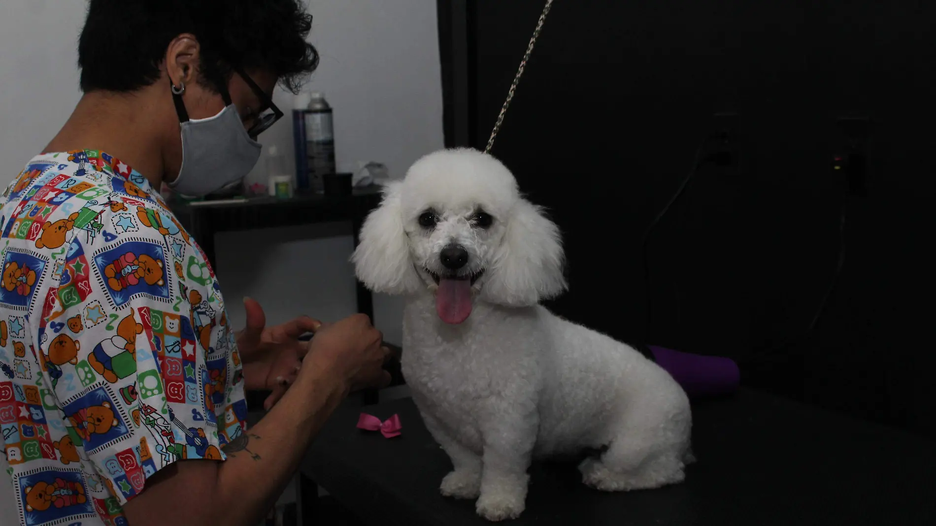 Estetica Canina Jonathan - Mike Acosta (7)